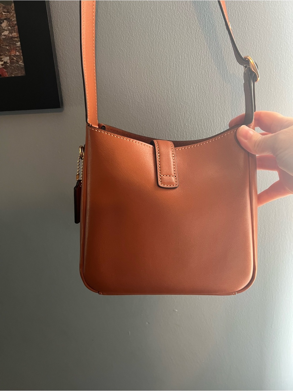 Coach Leather Crossbody Bag in Chestnut Brown with Gold Hardware - Picture 4 of 6